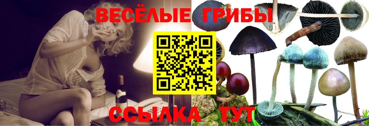 Галлюциногенные грибы GOLDEN TEACHER Сызрань