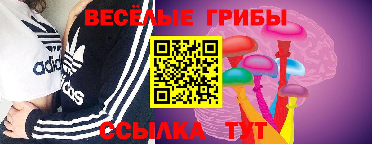 Галлюциногенные грибы прущие грибы  Вход с VPN  Сызрань  Галлюциногенные грибы MAGIC MUSHROOMS 