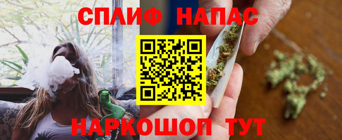 Конопля гибрид Сызрань